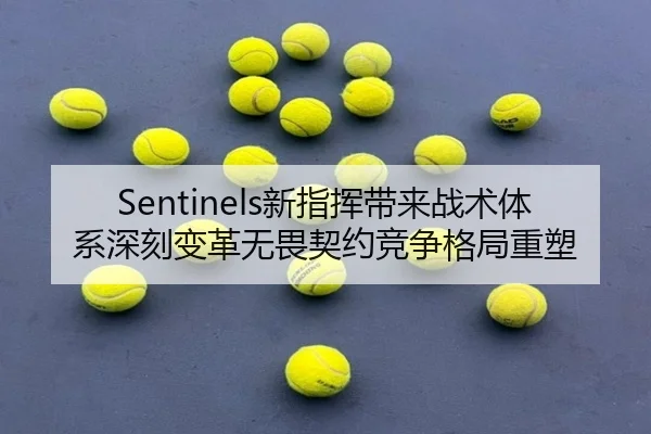 Sentinels新指挥带来战术体系深刻变革无畏契约竞争格局重塑